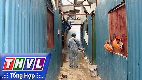 THVL | Người đưa tin 24G: Phun thuốc diệt muỗi không ảnh hưởng tới sức khỏe