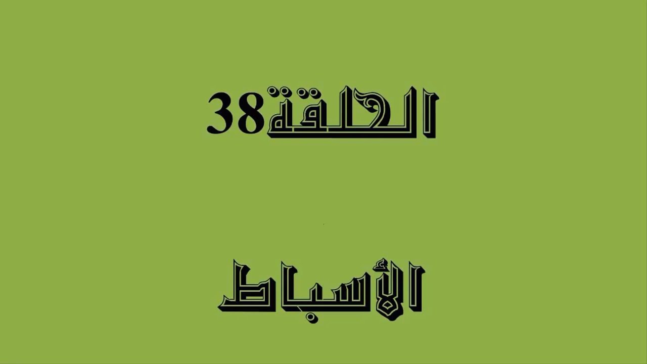 السبط فى اللغة ابن البنت فاذا كان الاسباط هم اولاد يعقوب فمن اى نسل هم