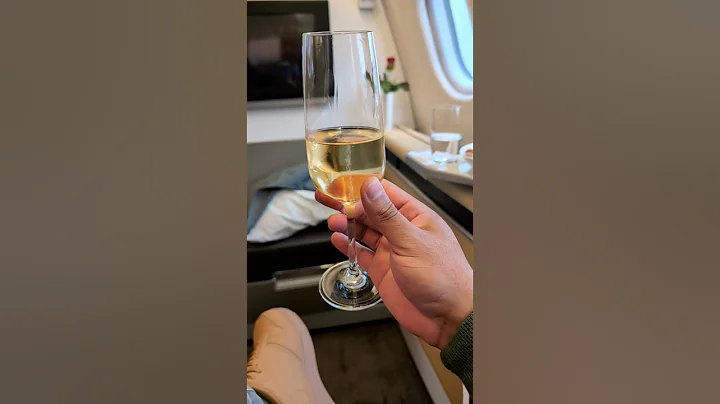 🍽️ Caviar, Champagne, & Cloud-High Bliss: My Lufthansa A340 First Class Experience #wanderlust