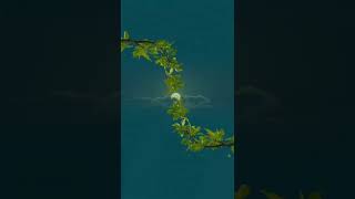 zabardast song 👉❤️❤️