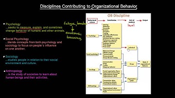 Disciplines Contributing To OB | Organisational Behavior | MeanThat