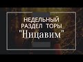 Недельный раздел Торы &quot;Ницавим&quot;