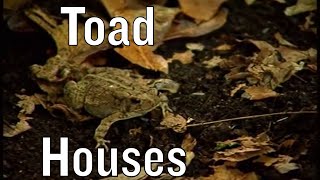 Building Toad Houses