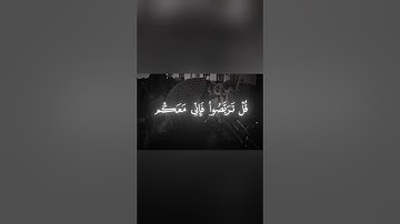 سورة الطور  #محمد_اللحيدان #سورة_الطور