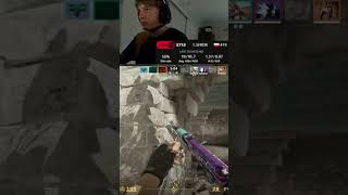 ACE Z DZIEWCZYNA DONKA #csgo #wtfcsgo #counterstrike #cs2 #csgomoments #gaming #twitch #streamer