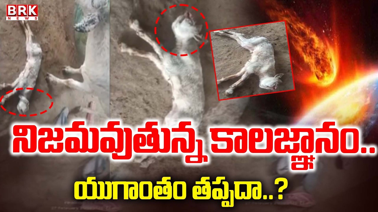 నిజమవుతున్న కాలజ్ఞానం..యుగాంతం తప్పదా..?|Is the End of the World Inevitable? |Predictions vs Reality