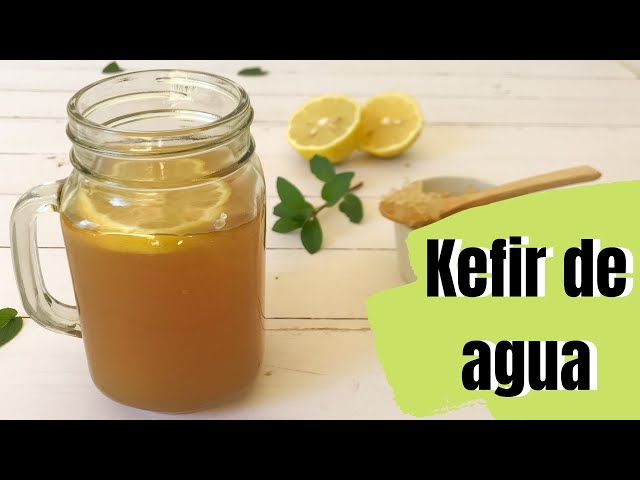 Como hacer Kefir Bebida Probiotica