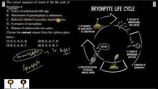 The correct sequence of events in the life cycle of bryophytes is: