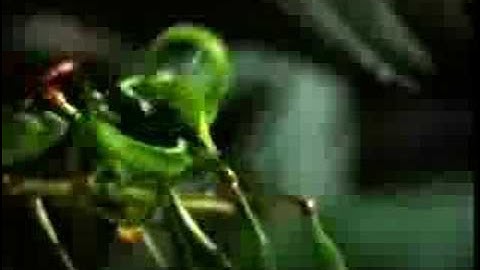 Coldcut & Hexstatic - Timber (Remix)