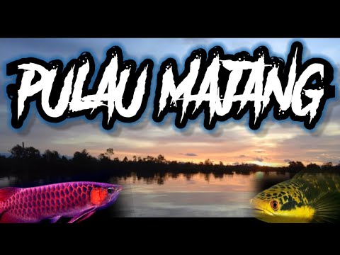 Pulau Majang Kampung Ditengah Danau - Indonesia Kalimantan Barat