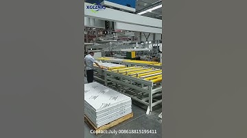 Gantry Robot Arm palletizing