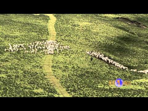 TIBET: THE LAST