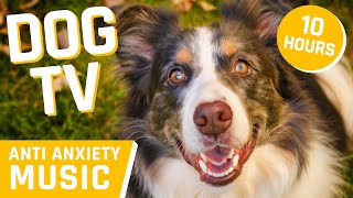 Dog TV: Relaxation Reels for Restful Retreats