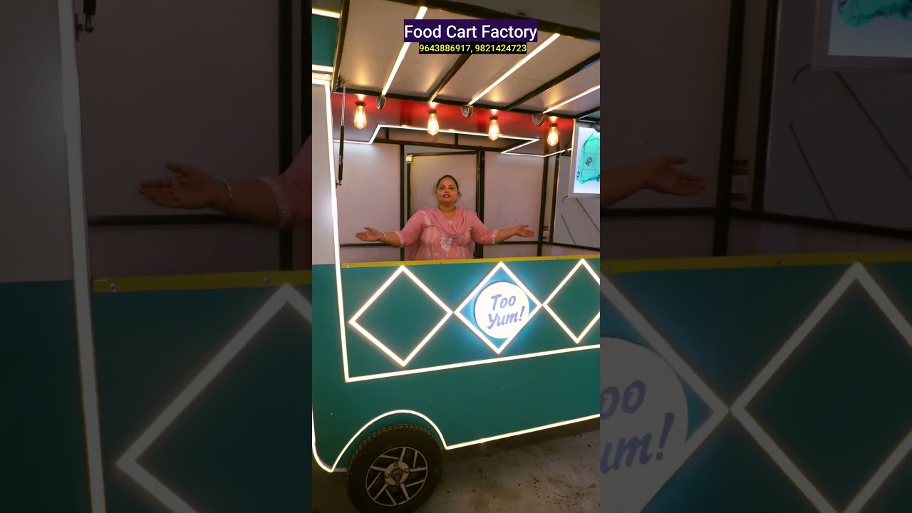 Food Cart Manufacturer Bike Fast Pizza Momos Chinese