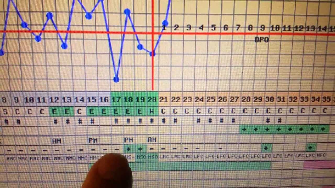 Bbt Charts With Bfp