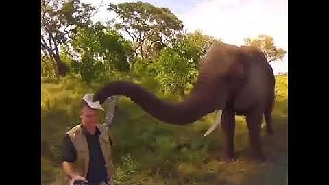 Hurr durr Im a human, I pay taxes and play the sports ball