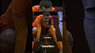 Cicaldau & Sneıjder