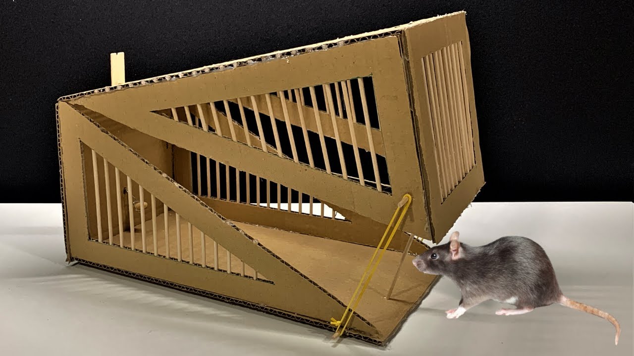 Cómo hacer una trampa casera para ratones - 9 pasos