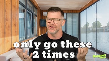 The BEST Time to Go Birding (Most People Get This Wrong)