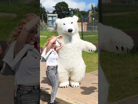 Белый мишка на день рождения #поздравление #праздник #федерикофеллини