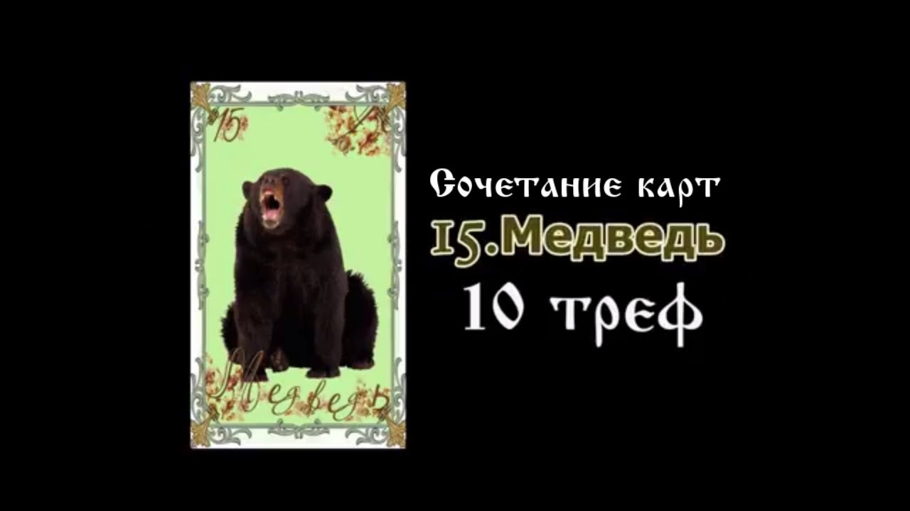 Карта медведь ленорман сочетание