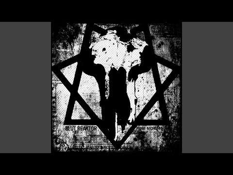Blut Reaktor — Solitude