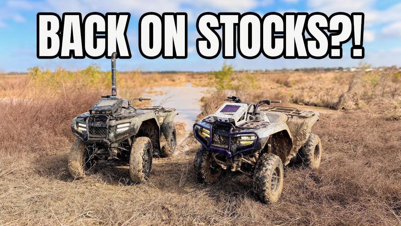 We put stocks on and hit a DIG!