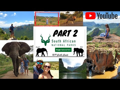 Kruger National Park Vlog Part 2 / Hazyview / Blyde River Canyon / Elephant Interaction