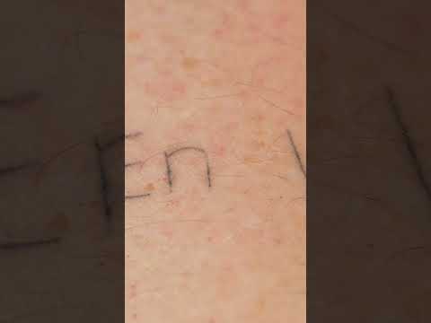 Voyages entre vie et lumière