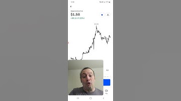 ALGORAND SKYROCKETED THE LAST 2 DAYS OVER $0.40