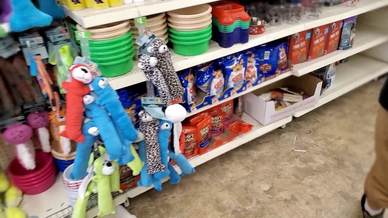 Ashtabula dollar tree halloween shopping /Old tops grocery store YouTube