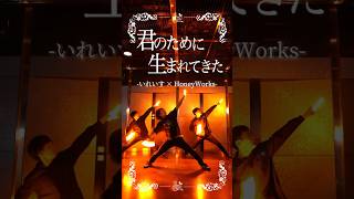 Download Lagu 【いれいす×HoneyWorks】君のために生まれてきた/いれいす でヲタ芸打ってみた！【#イレギュラーダイス】 MP3