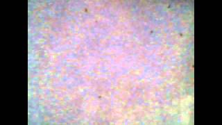 AR.Drone 2.0 Video: 2014/08/24