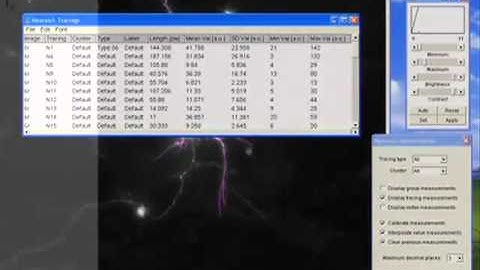 Automated Sholl Analysis of Digitized Neuronal Morphology at Multiple Scales