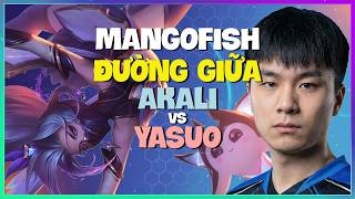 MangoFish Akali : Gã Này Đang HỦY DIỆT Yasuo Ở Rank Kim Cương - Vietsub