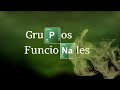 GRUPOS FUNCIONALES Y PRIORIDADES | Nomenclatura Orgánica