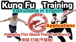 Kung Fu Choy Lei Fut training drill and applications Hanging Fist (Back Fist) Flat Punch 掛搥 打搥(平插搥)