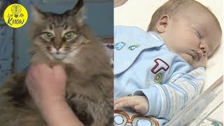 Hero cat saves baby from freezing to death