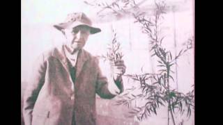 Kate Sessions, San Diego Women's Hall of Fame, 2006