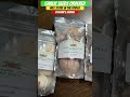I Got My Seed Garlic | Zone 7B | Urban Gardening | Yard Work | Shorts 166 || Steffanie’s Journey