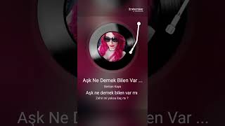 Aşk Ne Demek Bilen Var Mi....