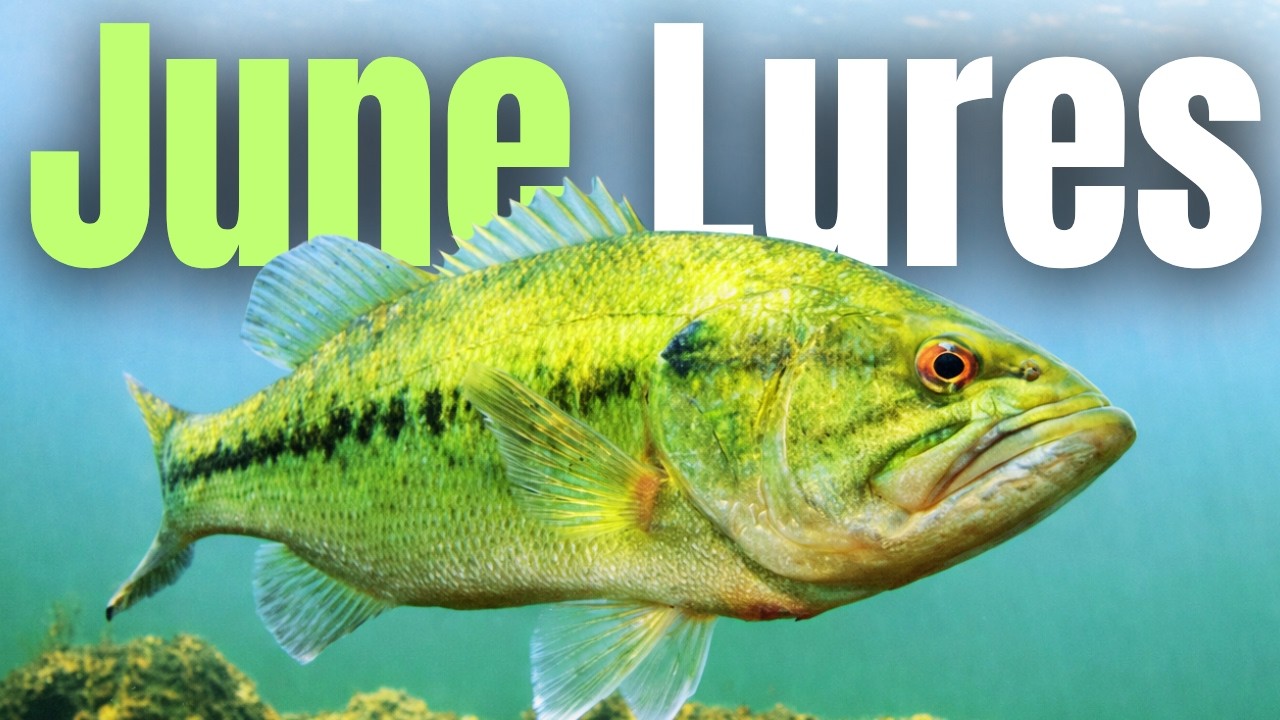 These JUNE LURES Catch Bass EVERY TIME