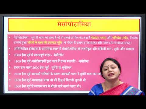 वीडियो: रात्रिभोज शिष्टाचार फोटो परियोजना। स्टाइलिश टेबल सेटिंग, या शिष्टाचार के अनुसार रात का खाना