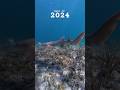 Best Diving of 2024 #synthwave #dive #beautifuldestinations #ocean #dji
