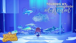 FULL Museum Tour 🦋🐠 Animal Crossing: New Horizons | Skyyzie