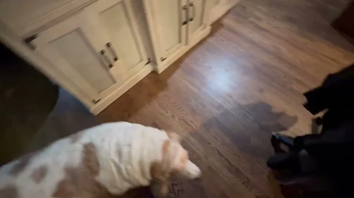 Always expecting Kitcheness. 