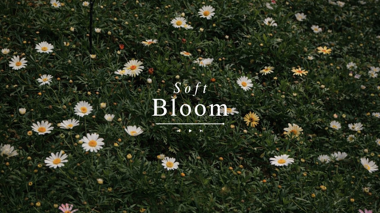 𝗣𝗹𝗮𝘆𝗹𝗶𝘀𝘁 |그냥 틀어놨는데 분위기가 달라진 팝송 모음 _멜로우 감성 pop🌼ㅣ melou jazz pop