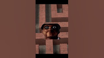 Nextbot Chasing Day (12/365) #garrymod #nextbots