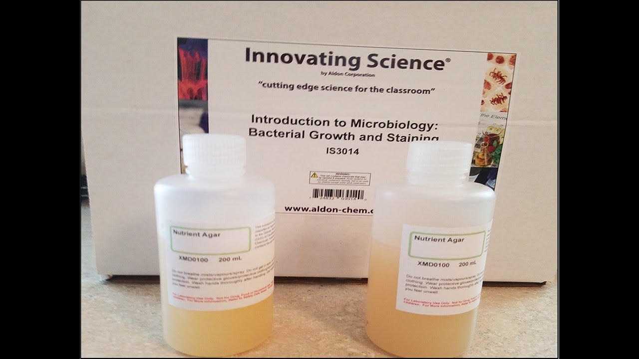 Preparing Nutrient Agar Plates YouTube