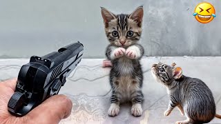 Cute animal Videos That You Just Can't Miss🤣🦮Part 13